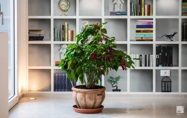 Foto Gallery de La Casa nel Parco